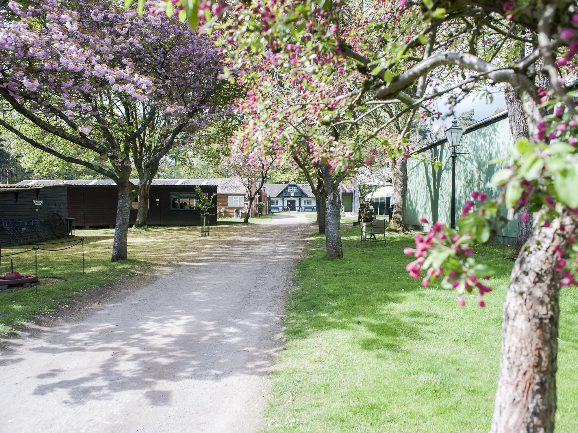 A photo of the Rural Life Living Museum driveway