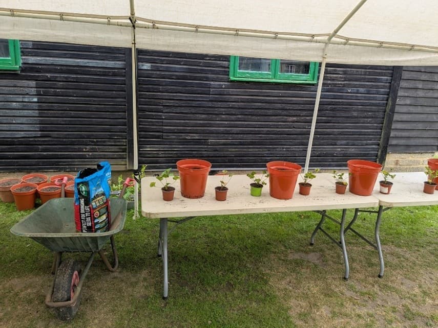 Planters arranged on a table.